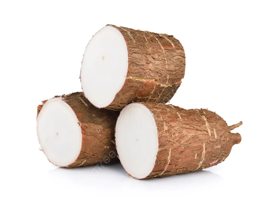 CASSAVA