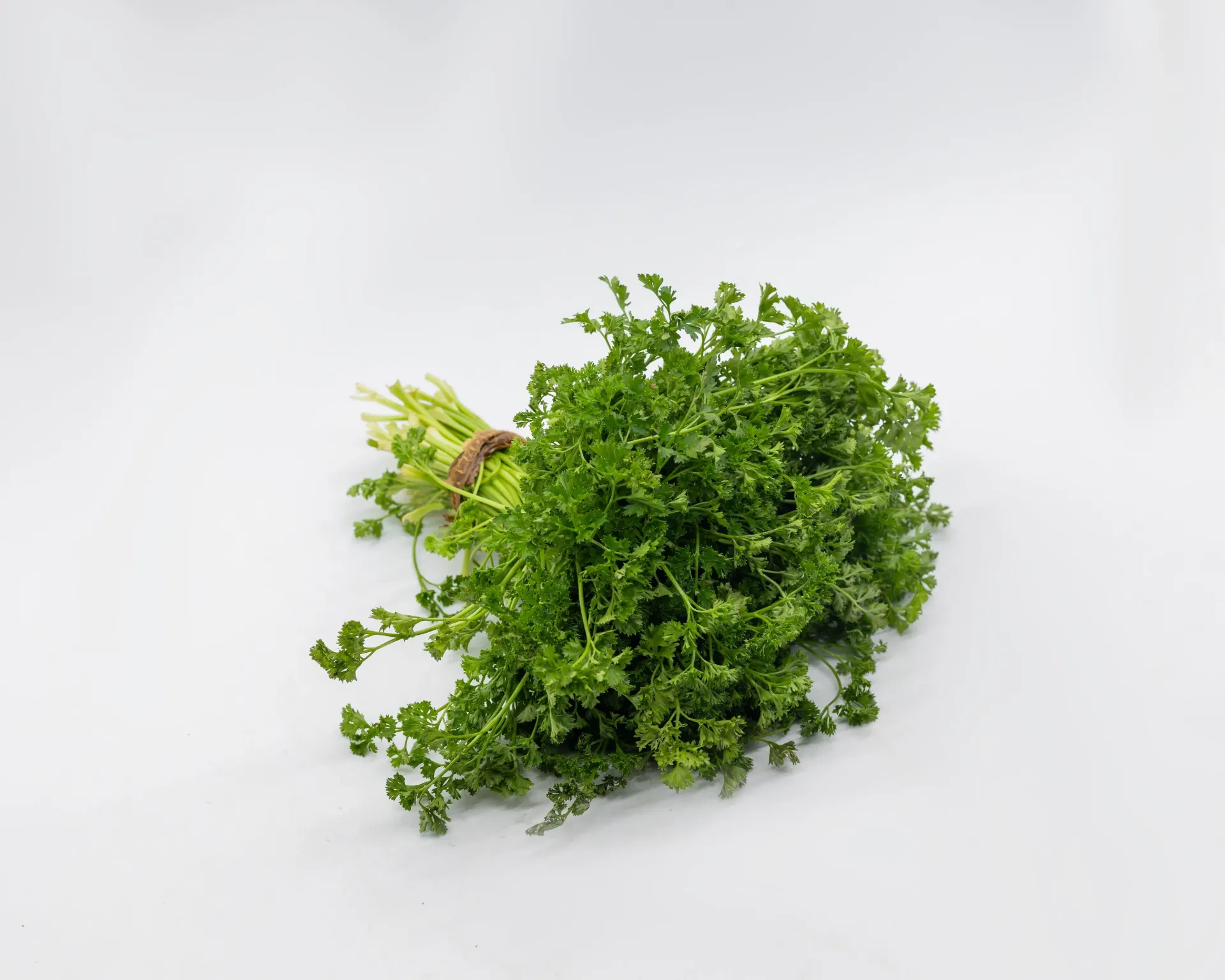 PARSLEY