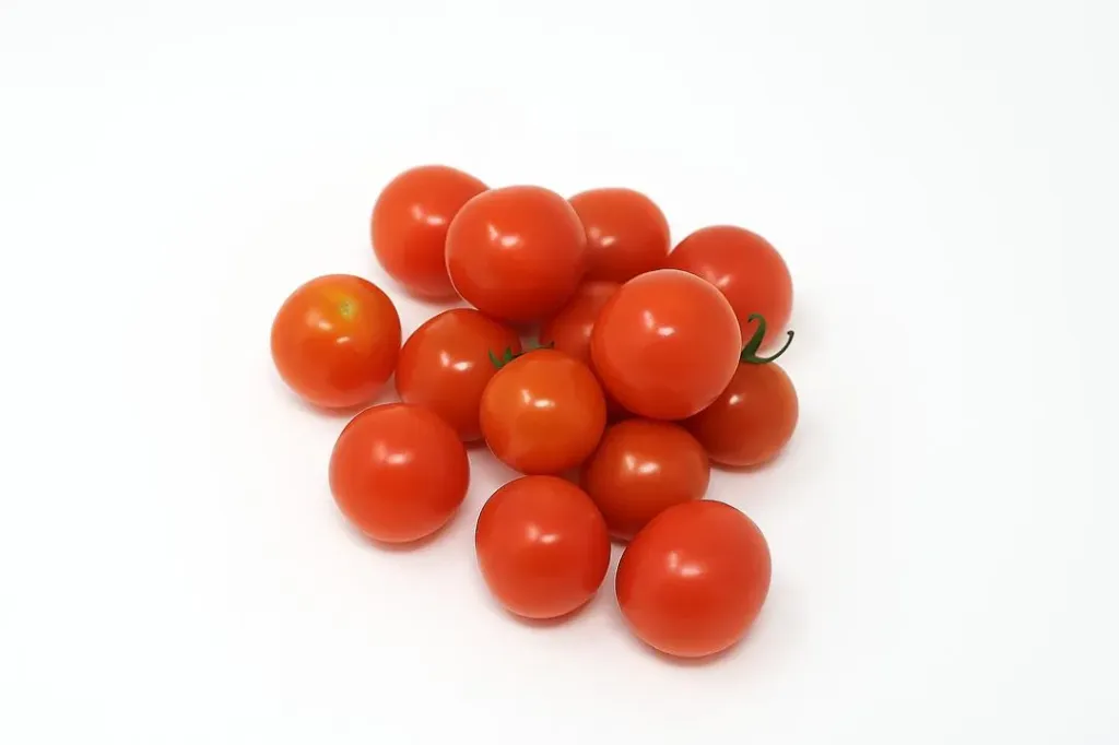 TOMATOES