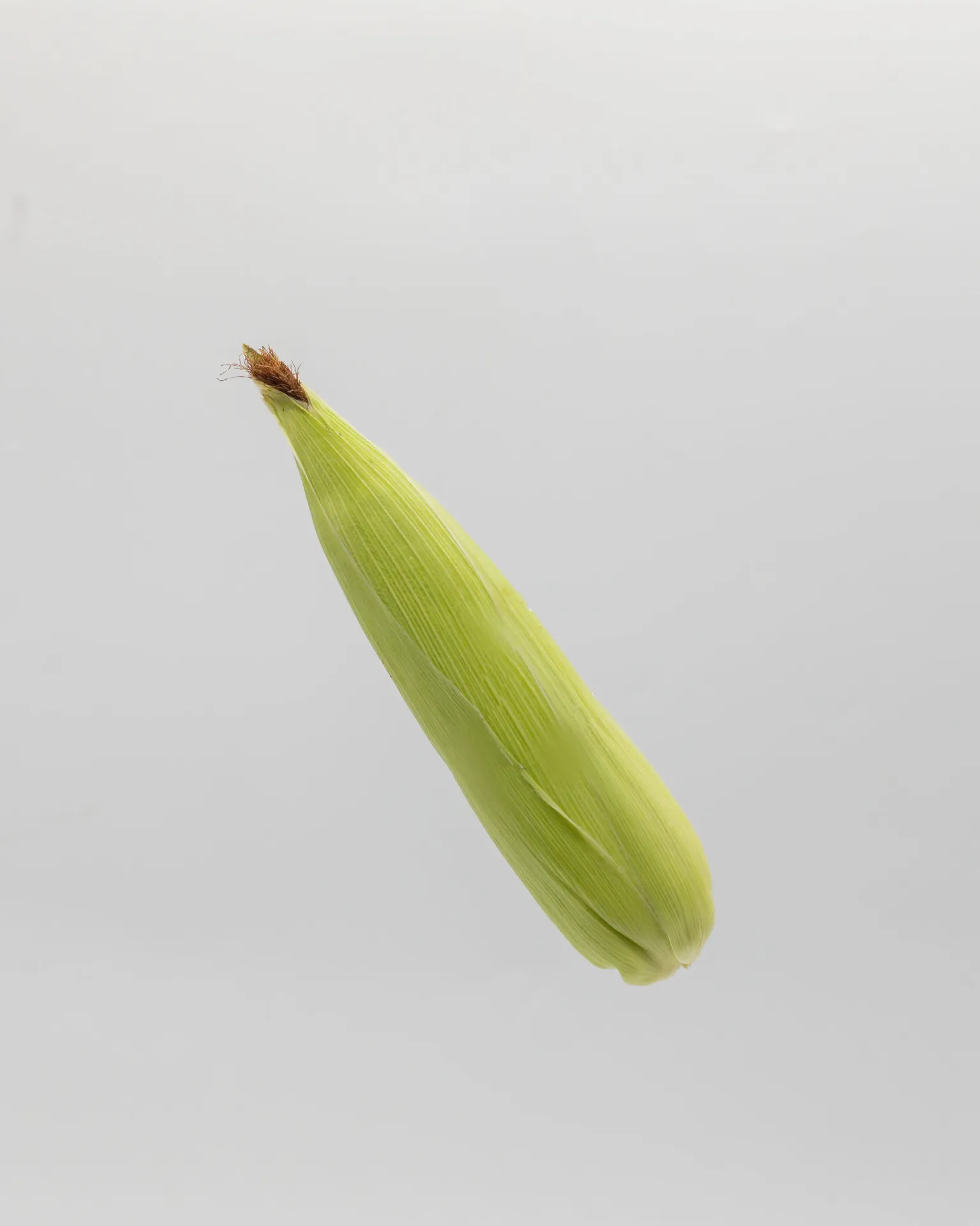 SWEET CORN