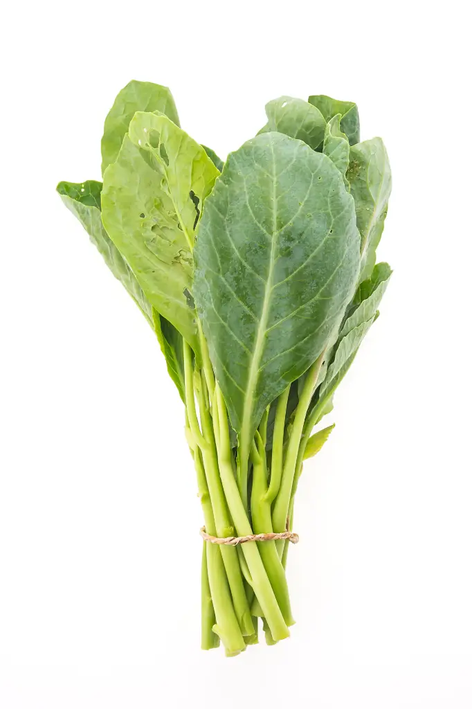BOK CHOY