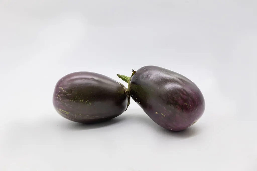 AUBERGINE